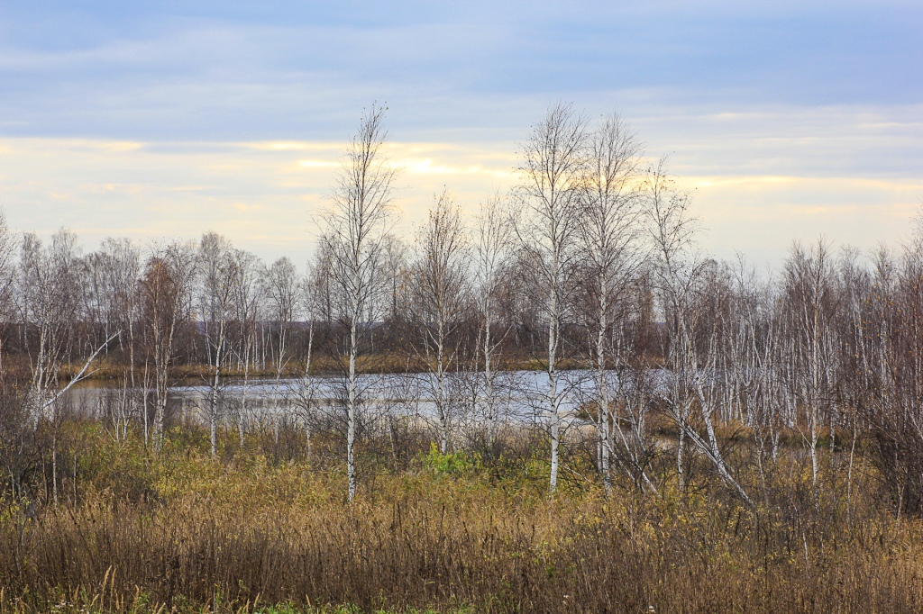 Народного места. Озеро Шатрово. Озеро Сидорово Алтайский край. Сосновка. Озеро Сидорово. Географический центр Курганской области.