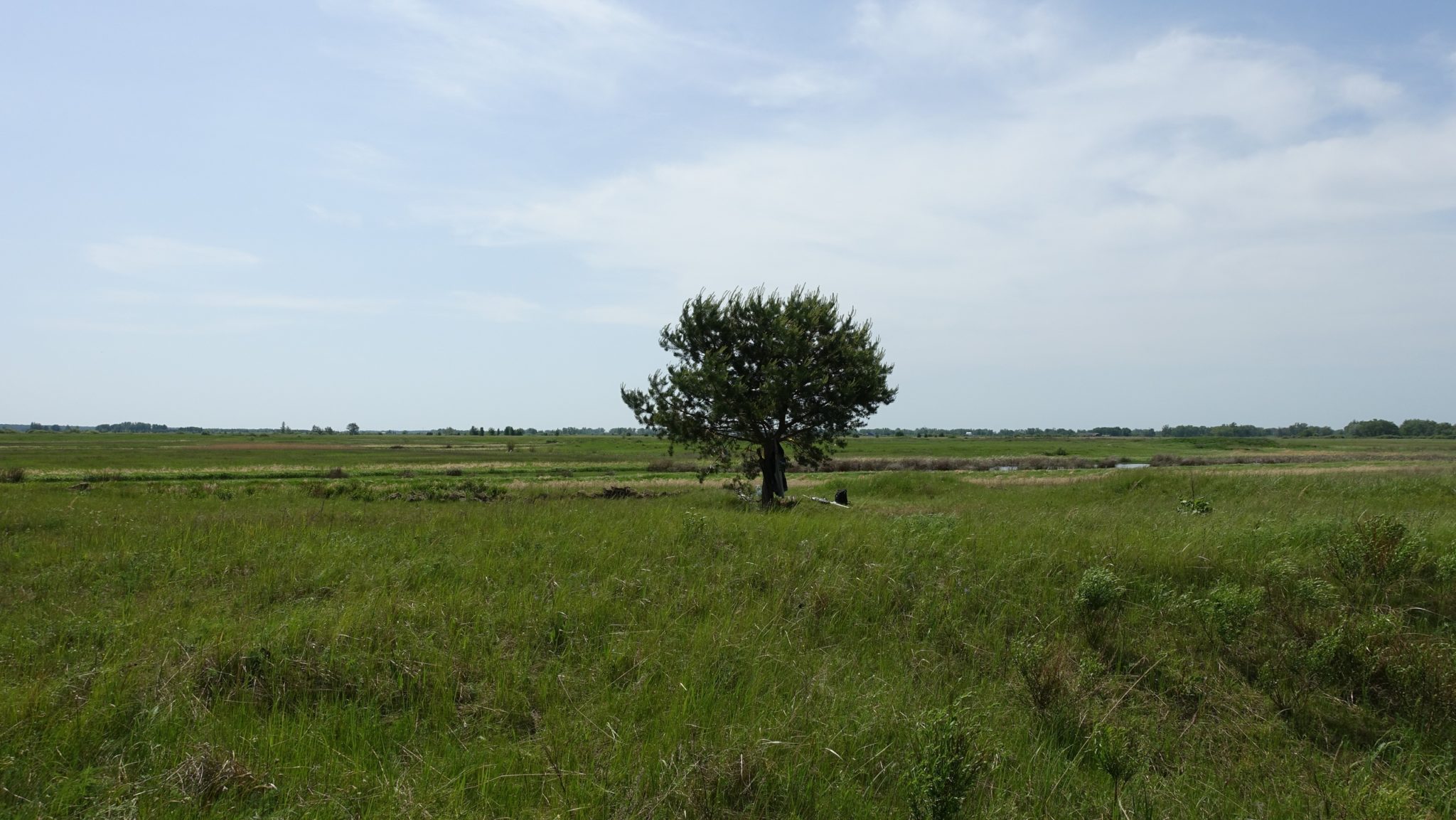 Савин курганская область святилище фото